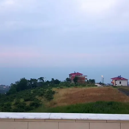 White Pavilion *
